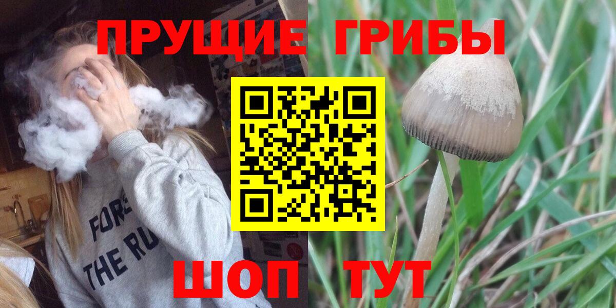 Псилоцибиновые грибы Magic Shrooms  Галлюциногенные грибы мицелий  Саратов  Вход с VPN 